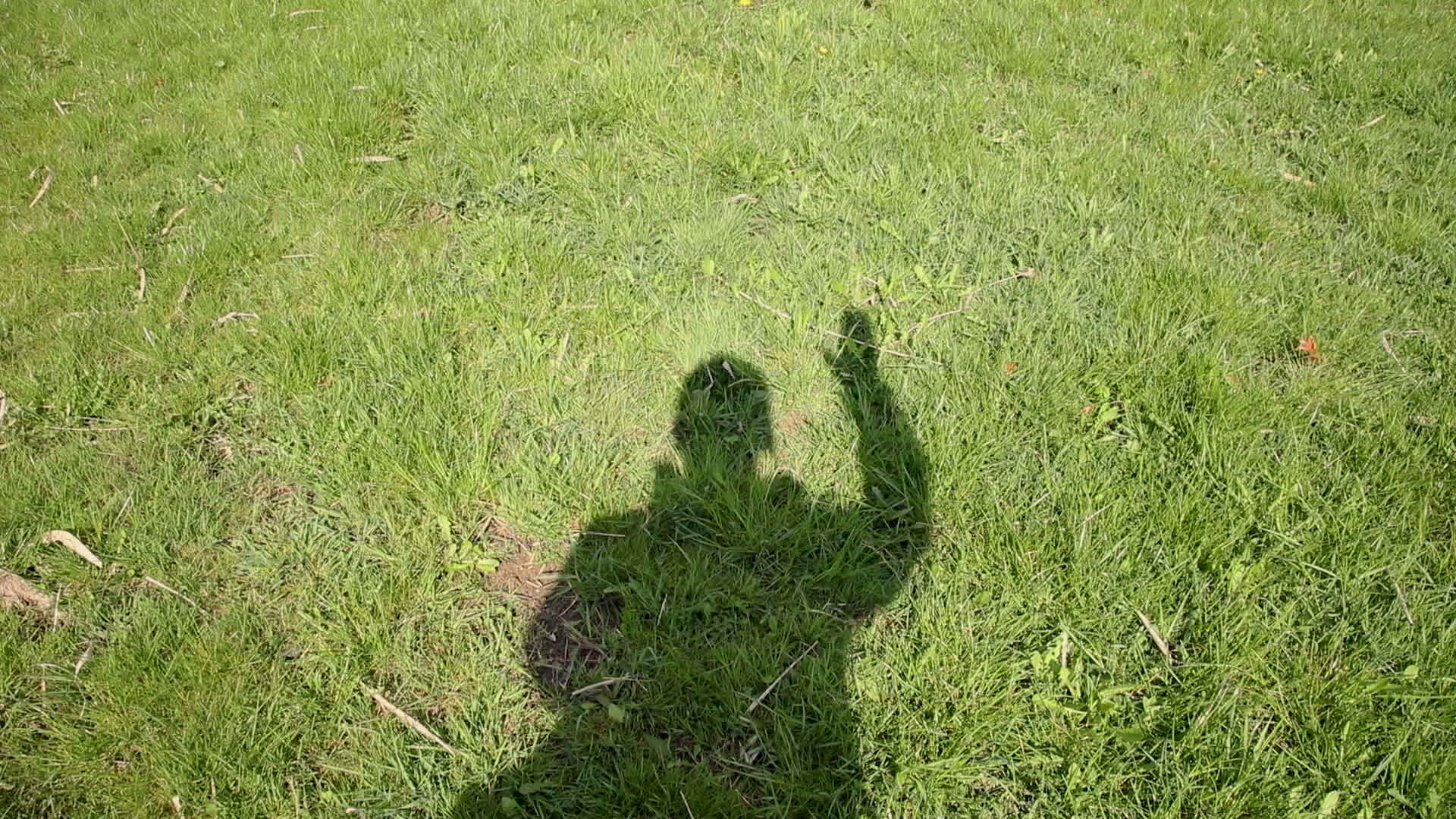 在草的阴影下他挥舞着手视频的预览图