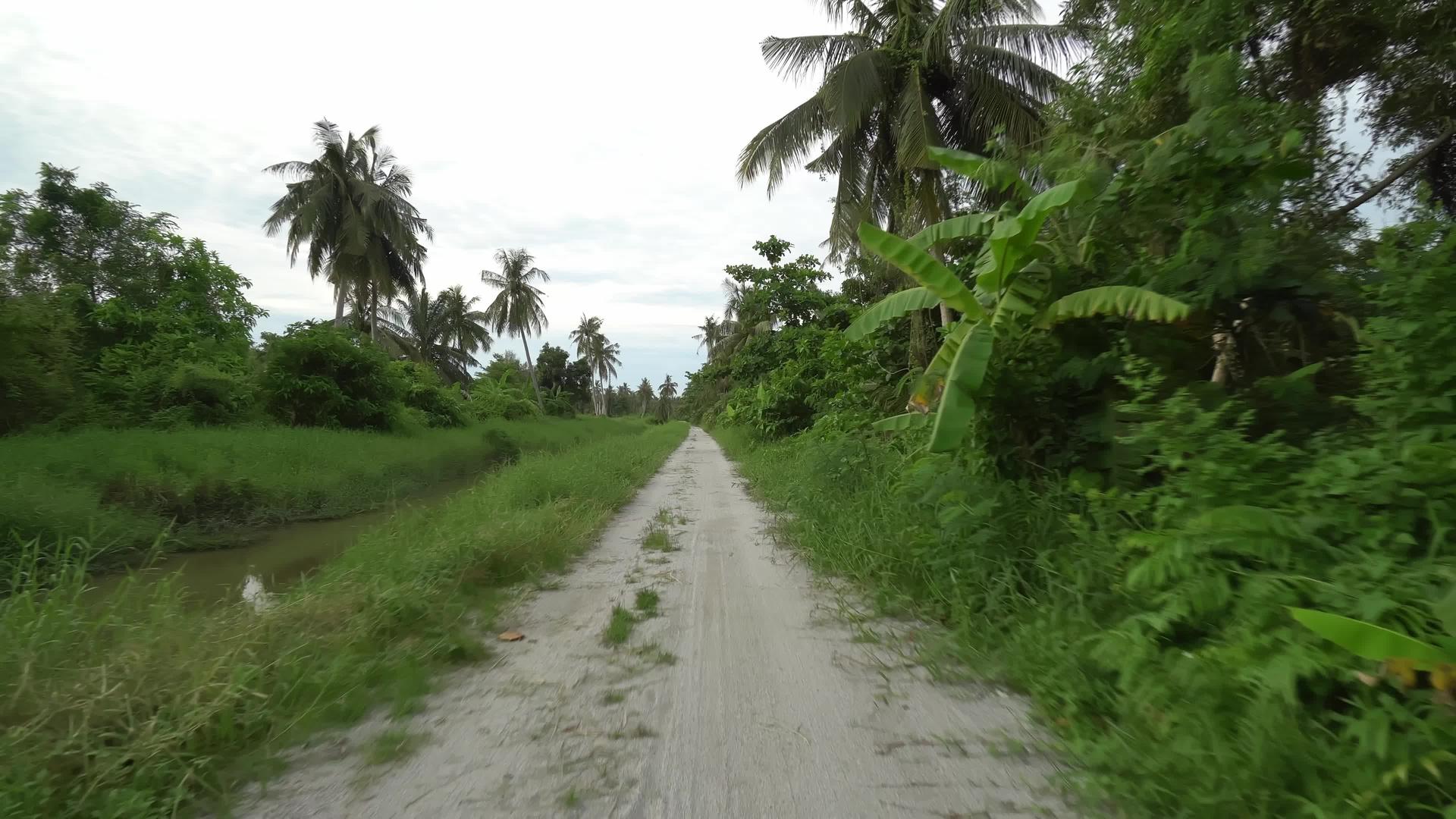 在农村公路上gimbal移动视频的预览图