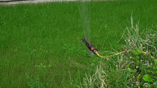 自动喷洒灭火器系统以绿草为背景浇灌草坪视频的预览图