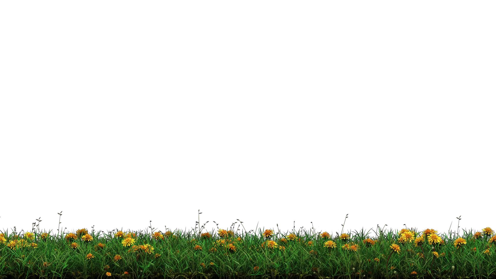 野生绿草和花头黄头带主要在阿尔法频道左右移动视频的预览图