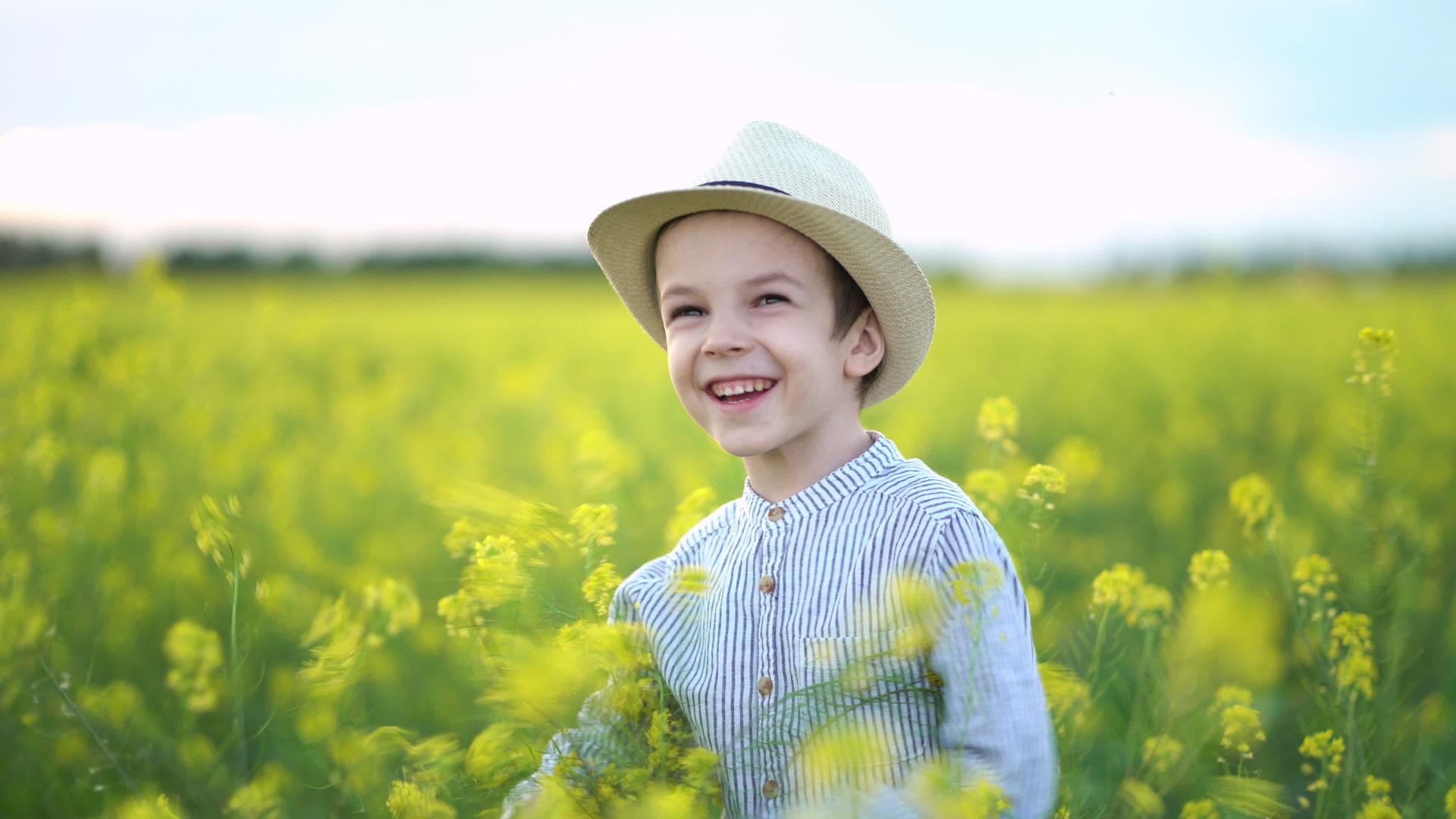小男孩戴着帽子在黄色的种子田里视频的预览图