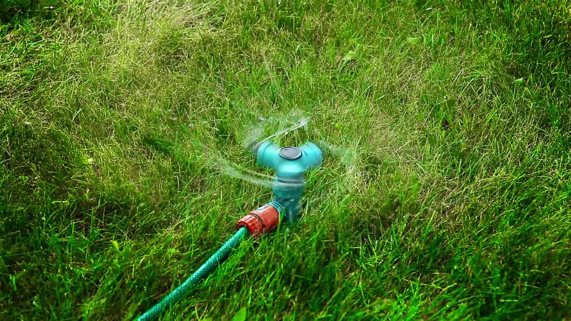 园丁喷水器hd视频的预览图