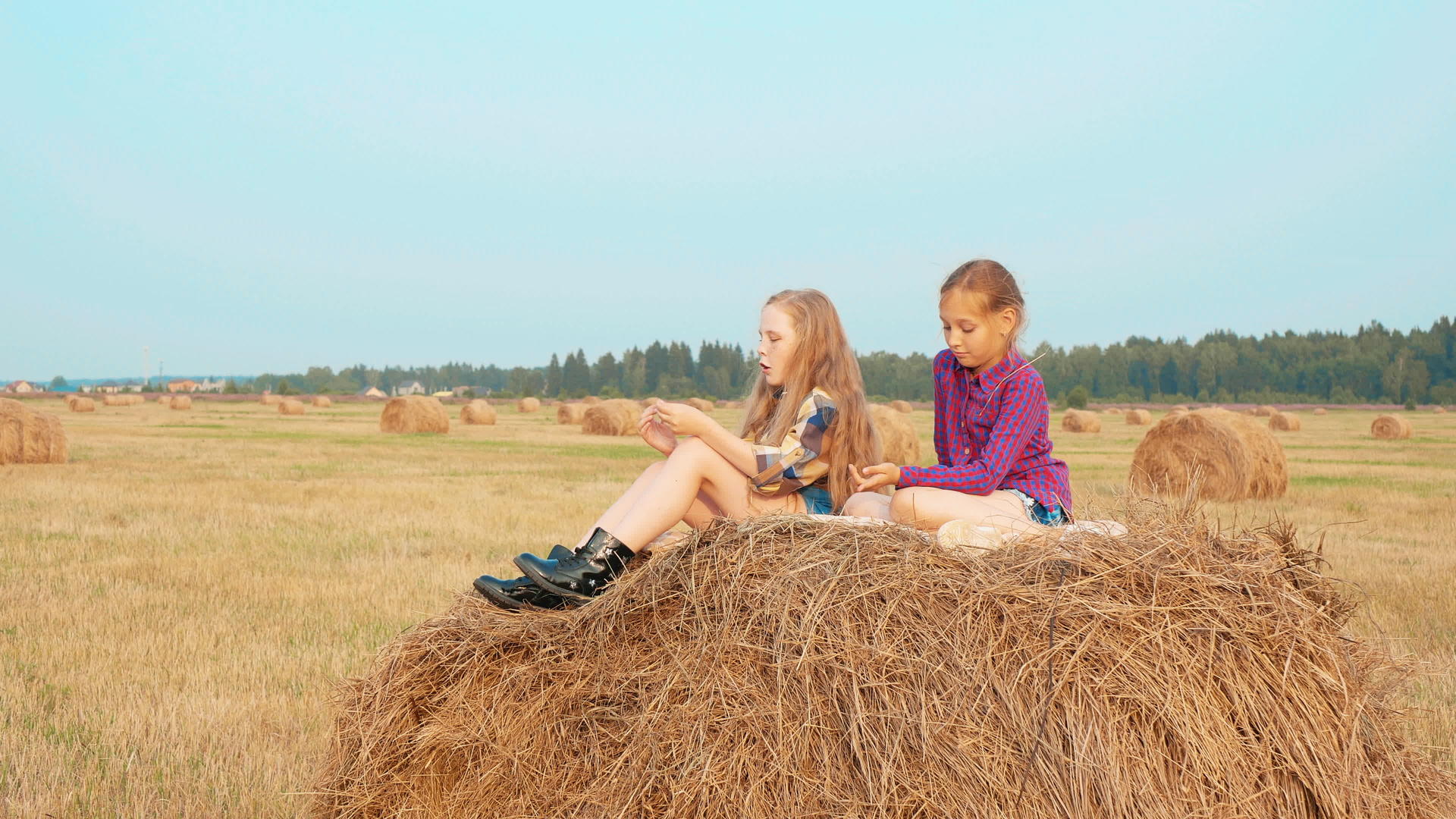 夏天坐在干草堆里的女孩视频的预览图