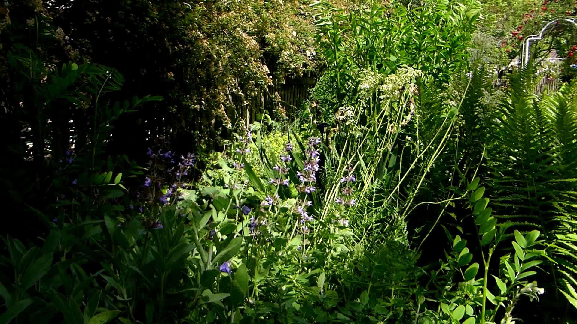 春季草药花园圆形视频的预览图