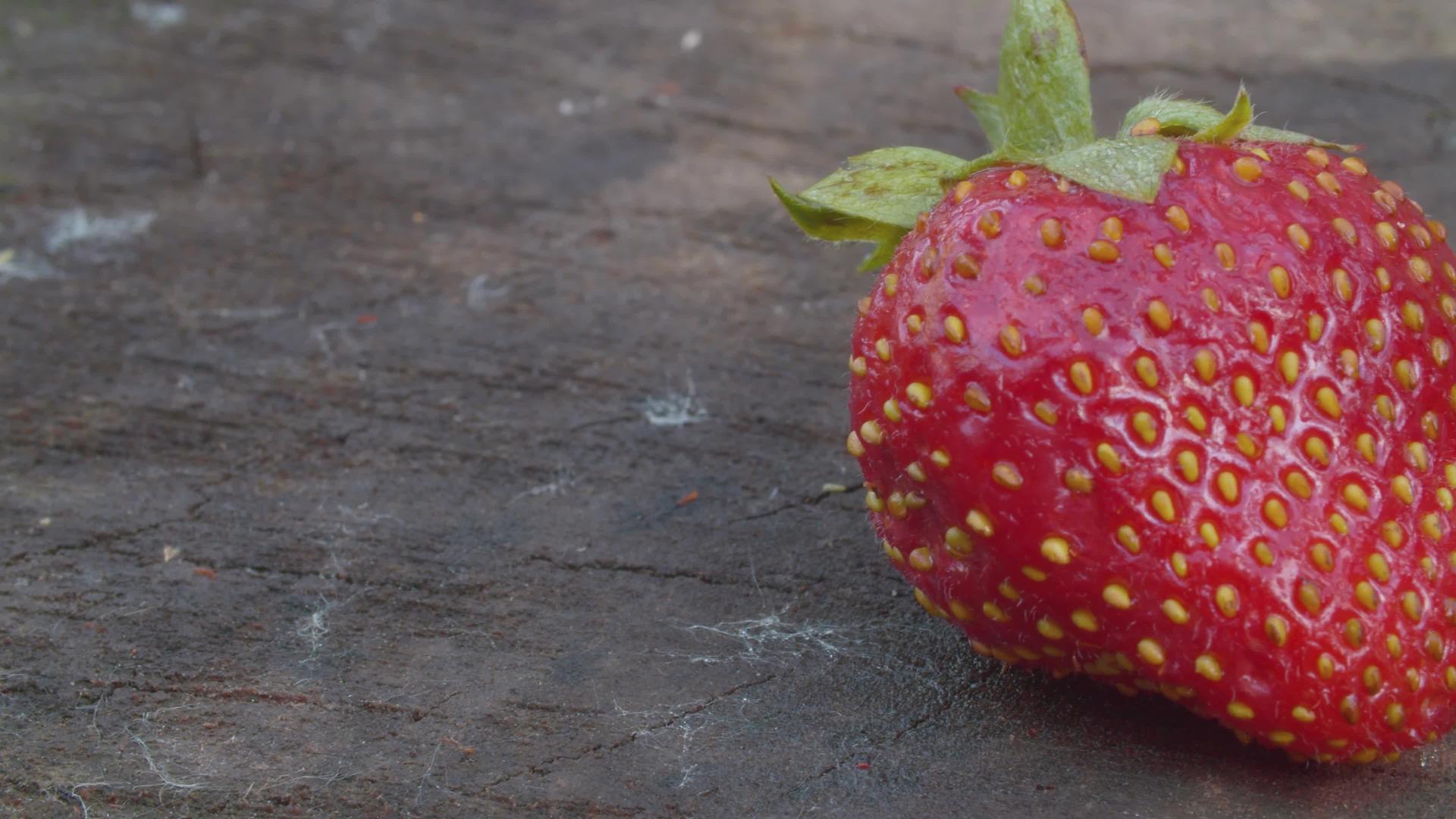 成熟的草莓在木板上视频的预览图