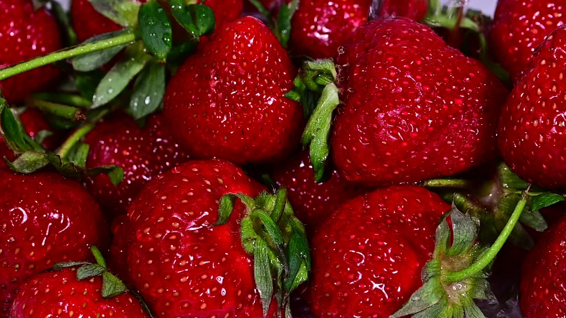 用水清洗红成熟草莓视频的预览图