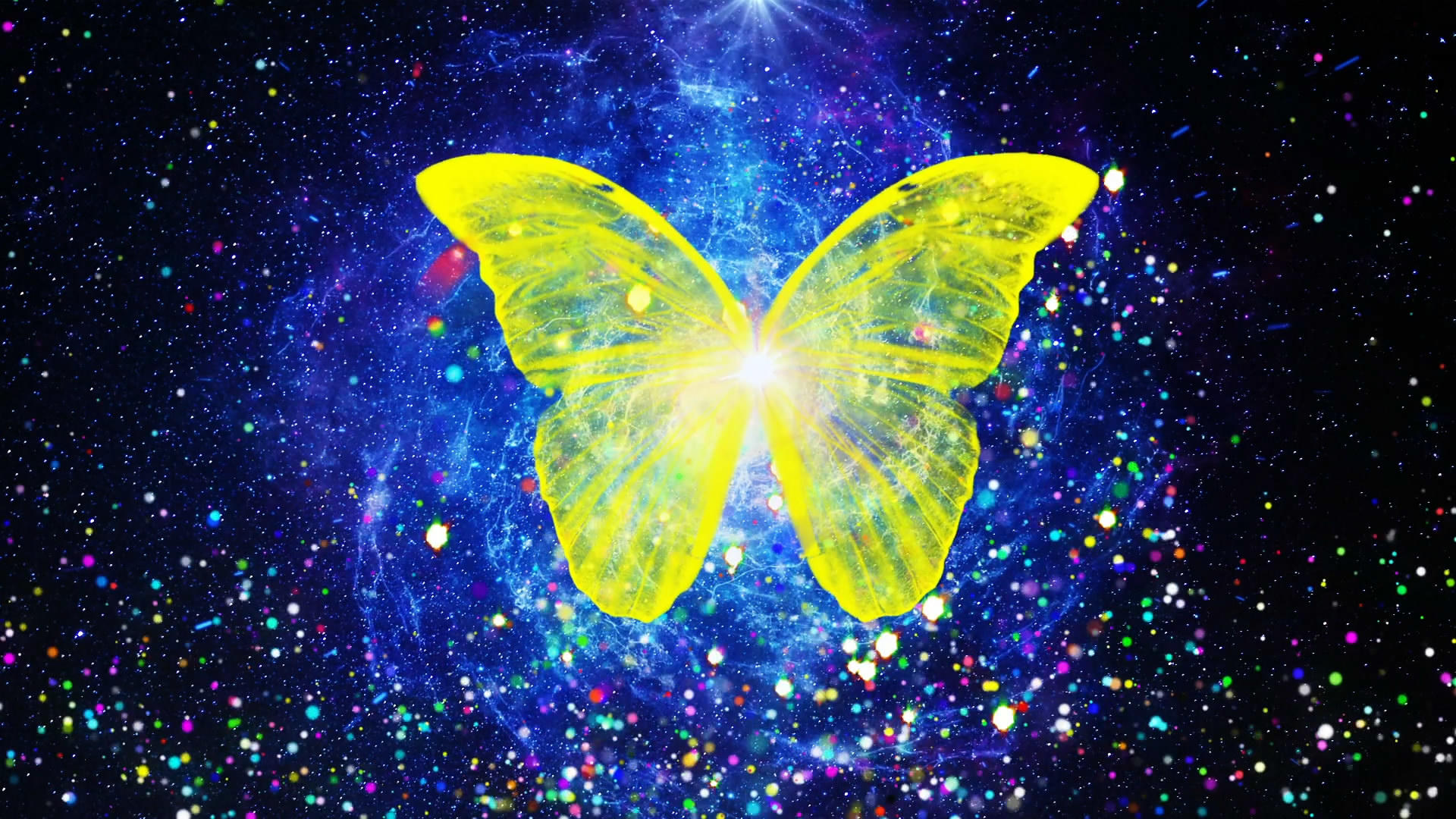唯美的蝴蝶翅膀背景素材视频的预览图