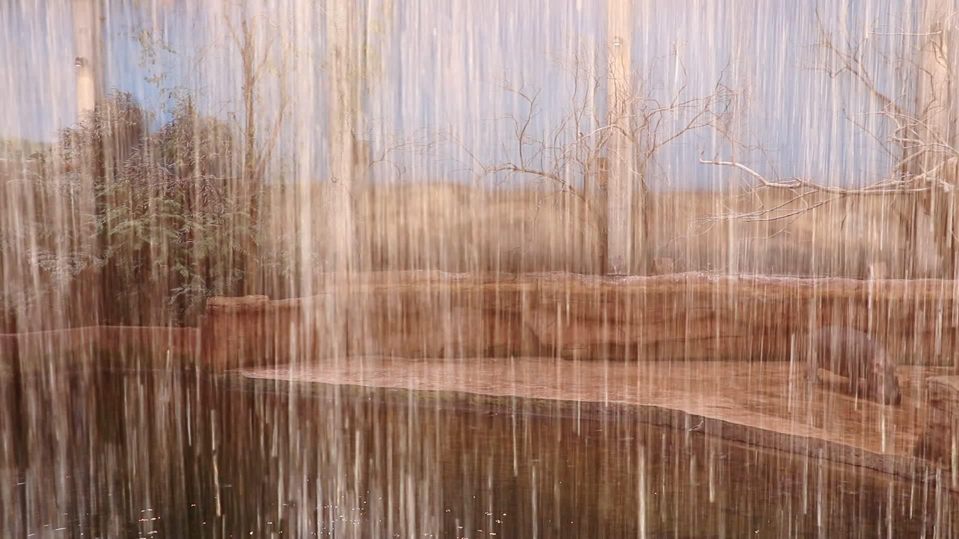小人工瀑布河马在背景中行走视频的预览图
