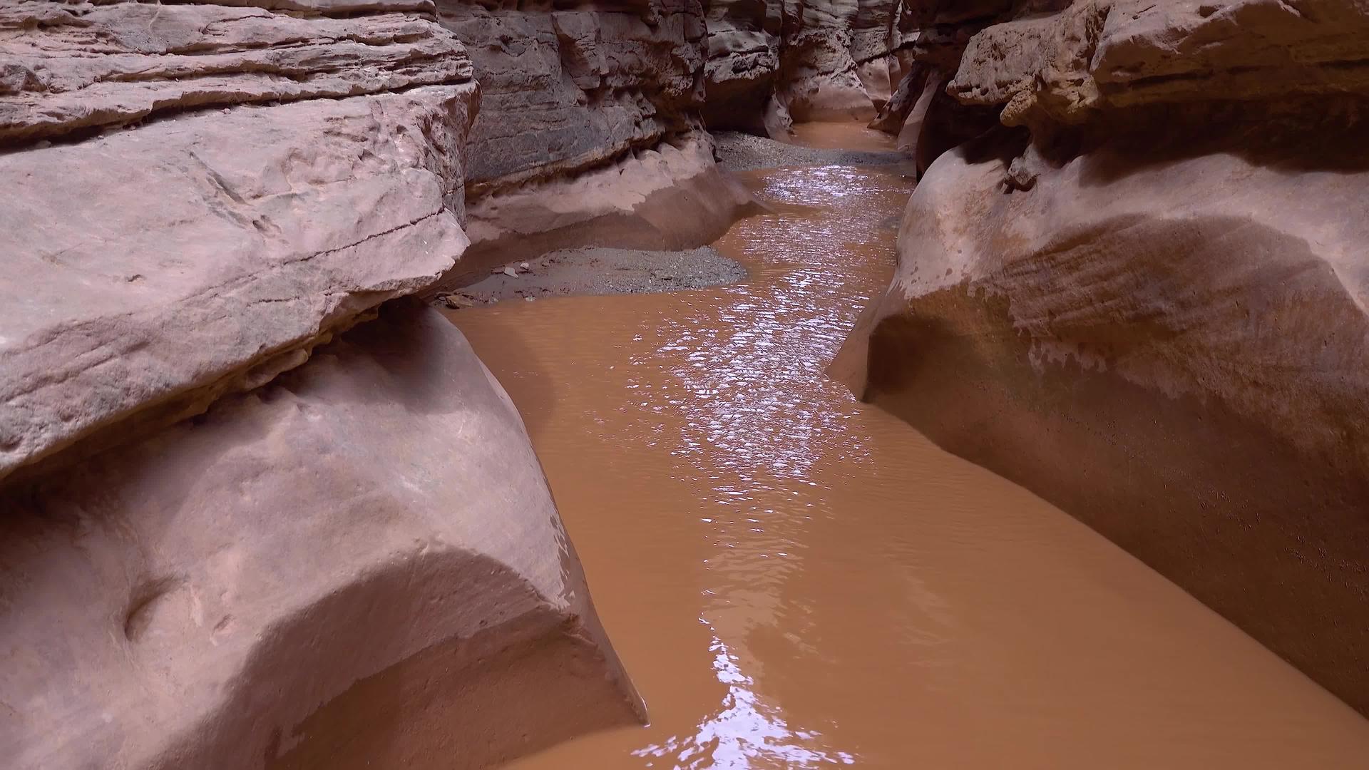 美国犹他州圣拉斐尔小野马峡谷视频的预览图