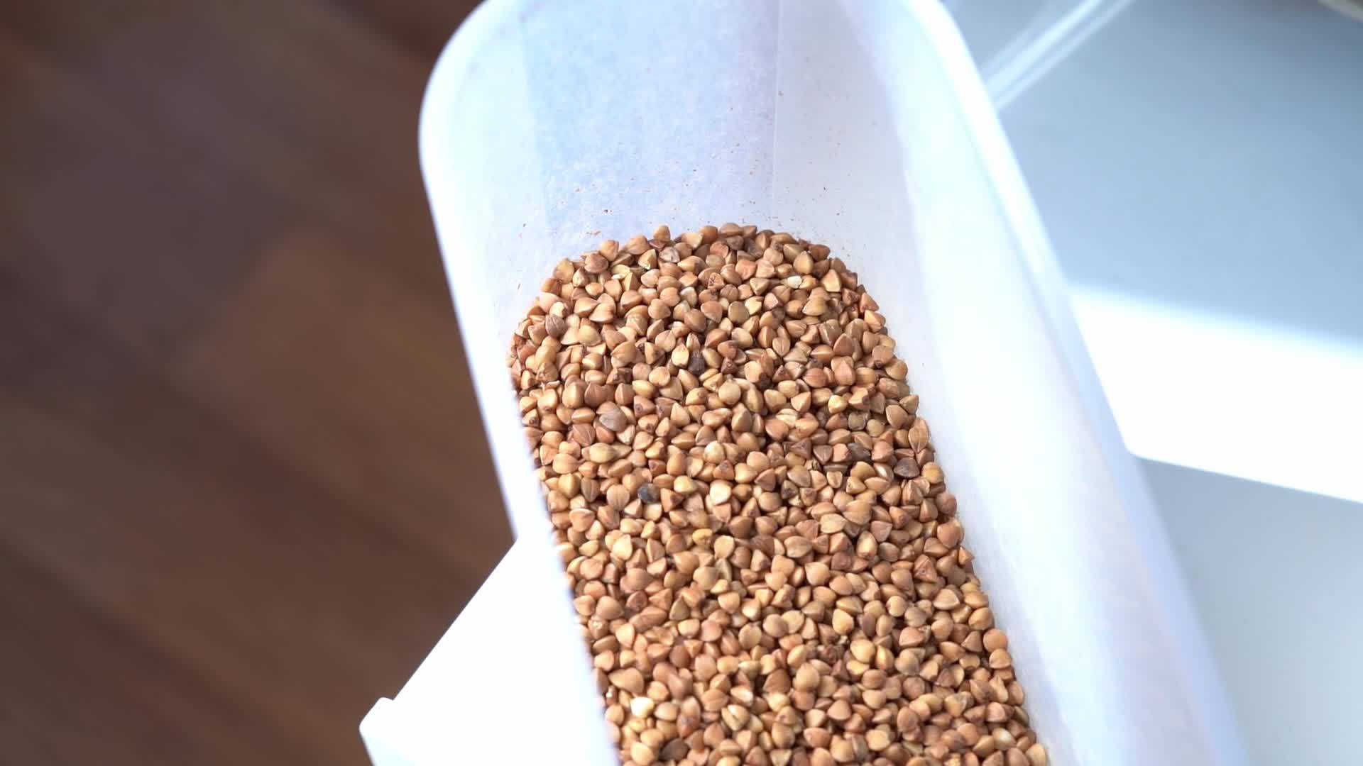 微小麦储存在一个特殊的塑料容器中视频的预览图
