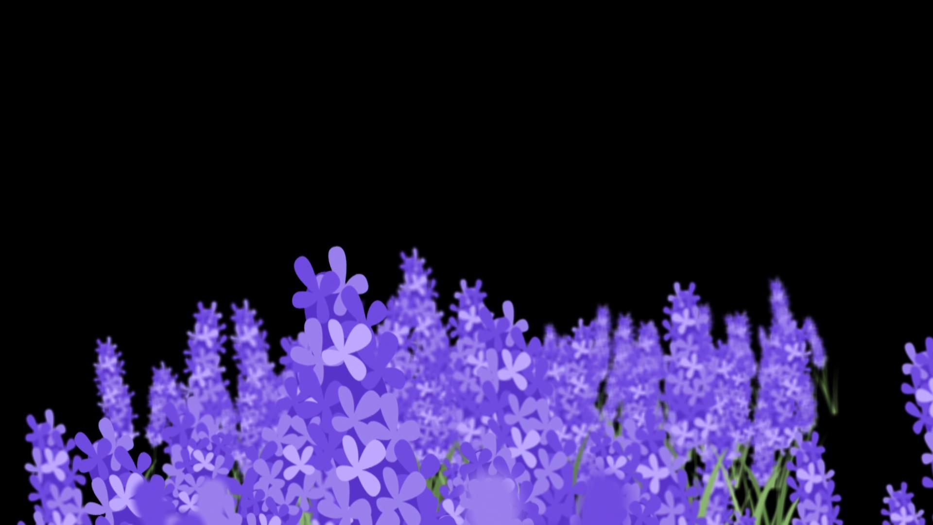 穿梭紫色薰衣草背景带通道视频的预览图