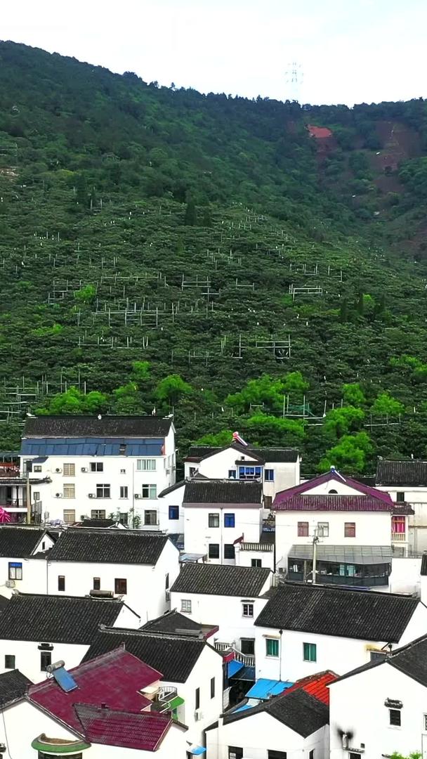 苏州东山旅游度假区视频的预览图