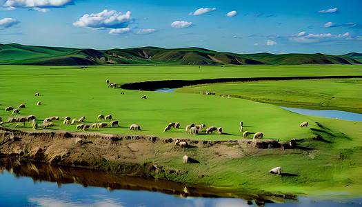 牛羊放牧在呼伦贝尔草原河边视频的预览图
