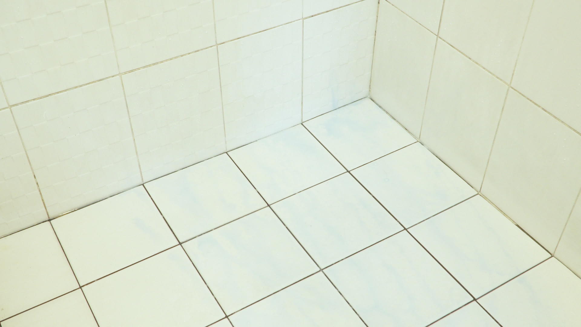 家庭主妇在度假时用刷子清洁浴室地板视频的预览图