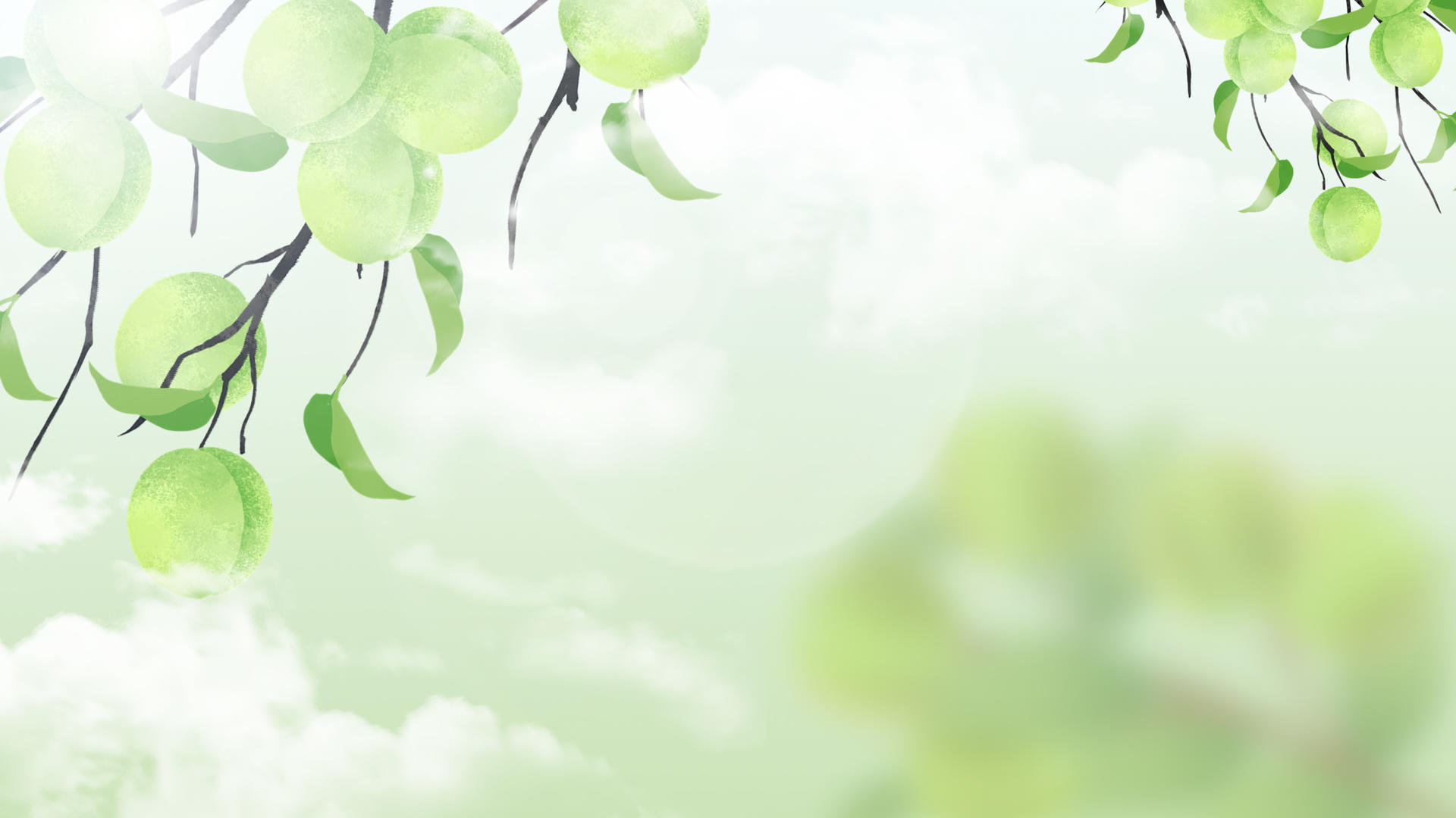4K24节气小满唯美清新动态背景视频视频视频的预览图