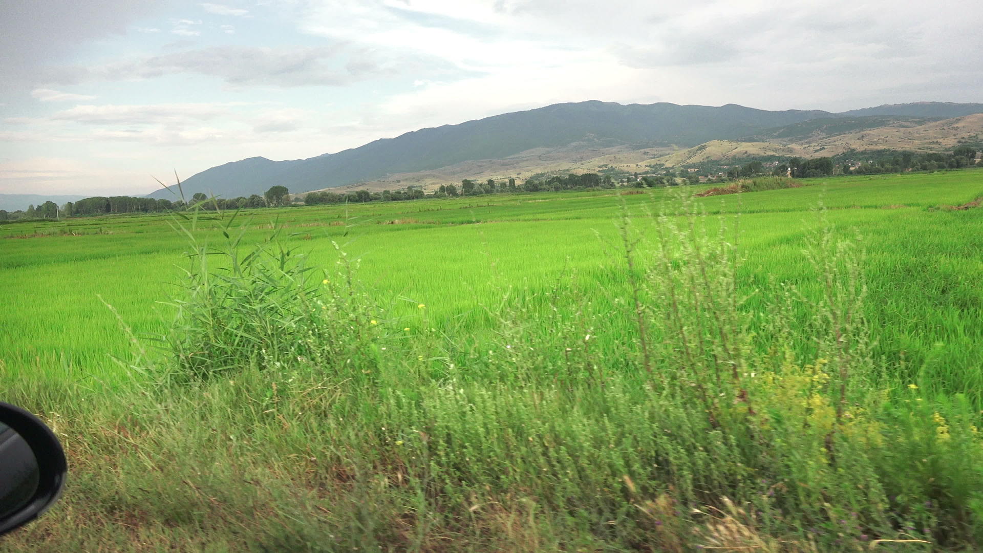 沿着农村公路沿着稻田快速驾驶运动车视频的预览图