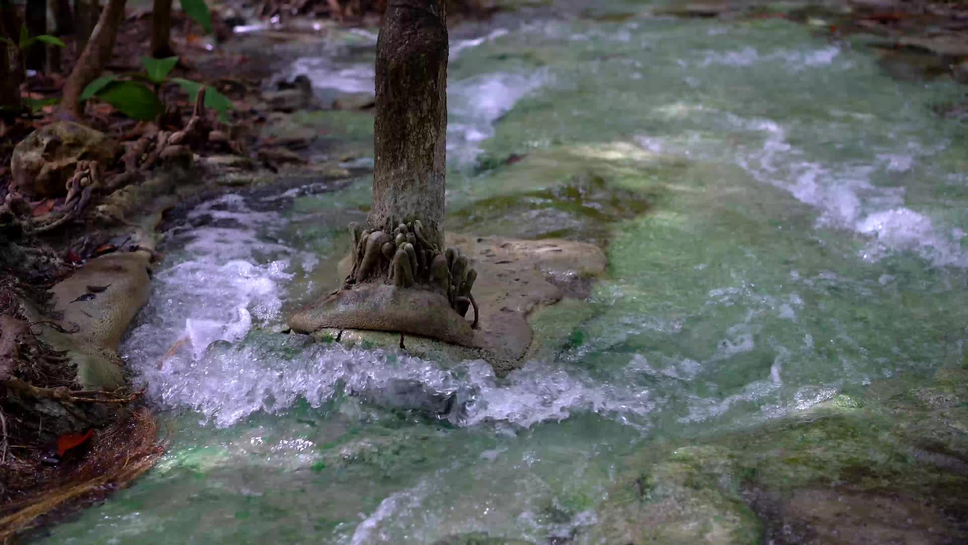 泰国瀑布林视频的预览图