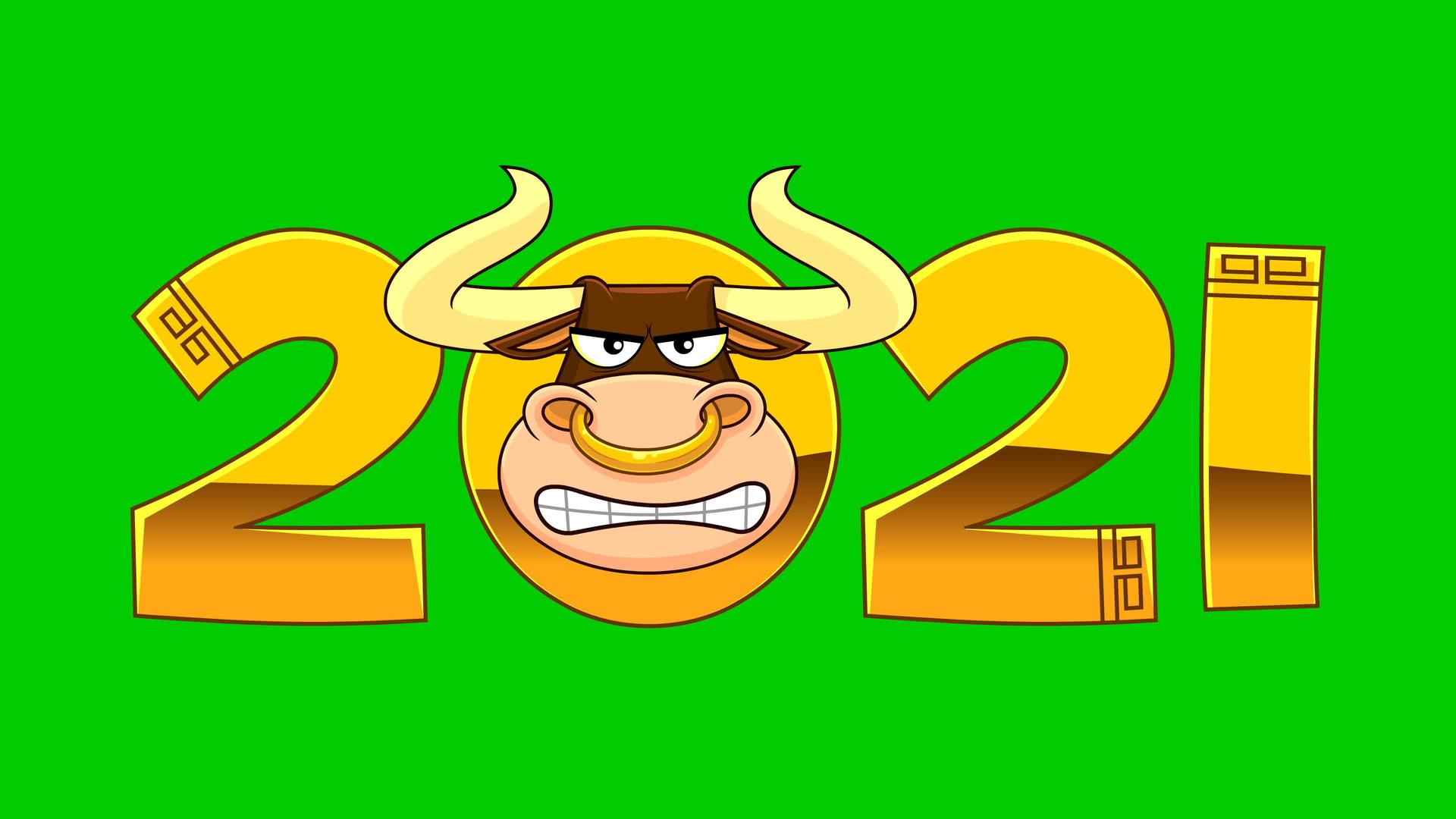2021年公牛和公牛脸的卡通人物视频的预览图