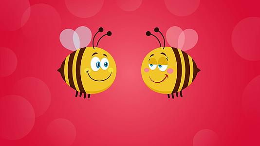 情侣蜜蜂视频的预览图