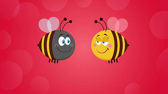 蜜蜂情侣相爱视频的预览图
