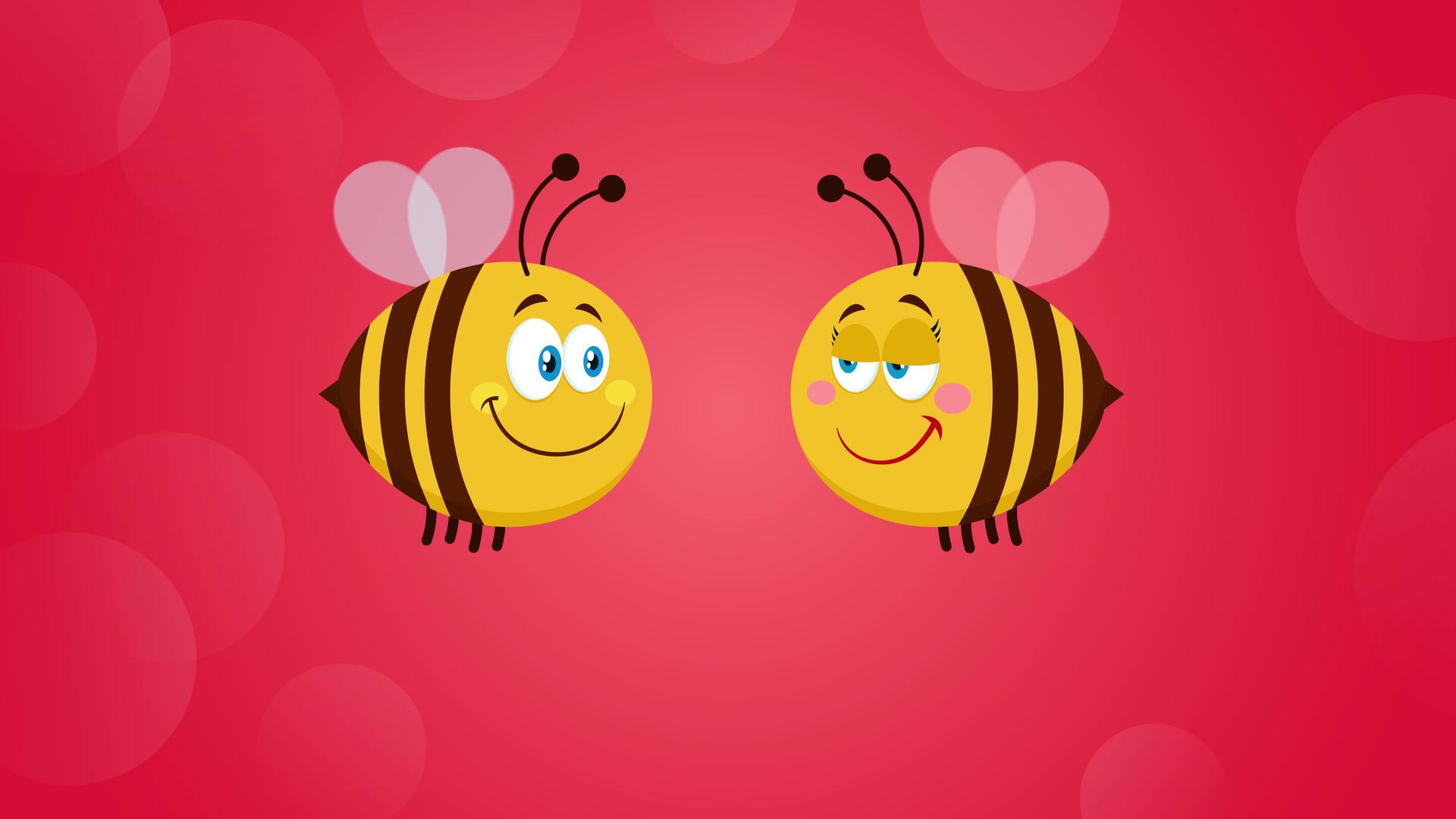 相爱的蜜蜂视频的预览图