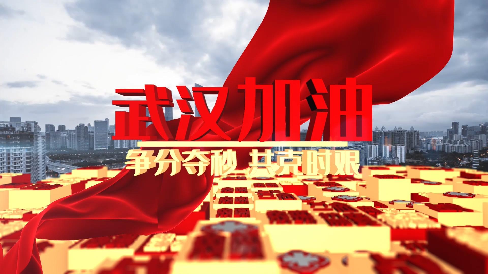 武汉加油中国加油三维片头ae模板视频的预览图