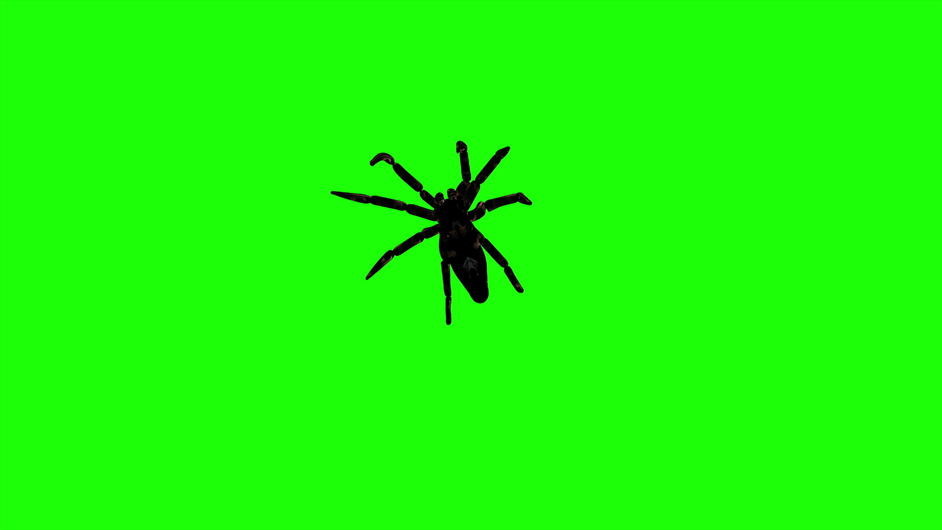 蜘蛛绿屏背景视频的预览图