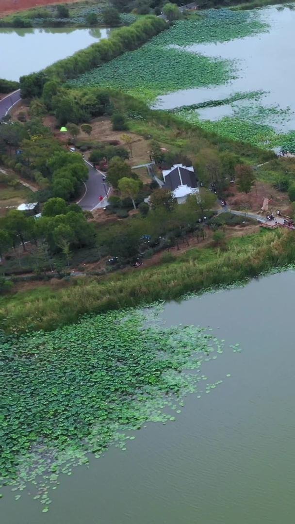 武汉后官湖绿道湿地公园航拍视频的预览图