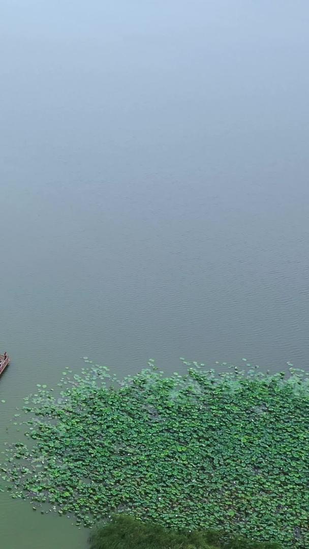 武汉后官湖绿道湿地公园航拍视频的预览图