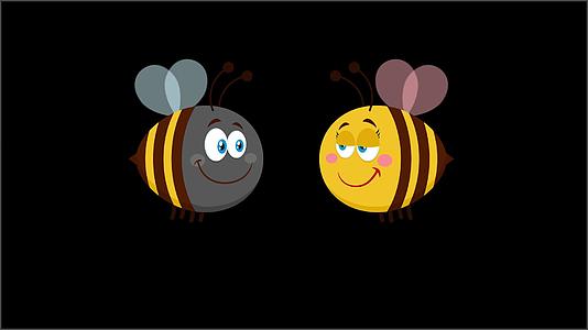相爱的蜜蜂视频的预览图