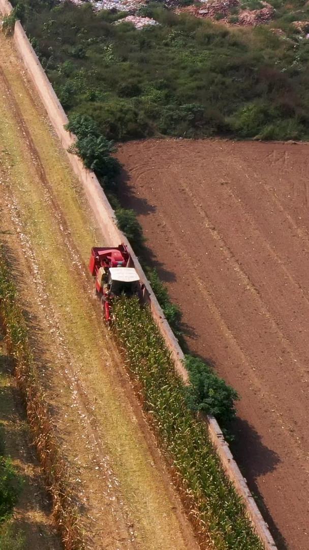 陕西农业玉米丰收农民晒秋航拍素材视频的预览图