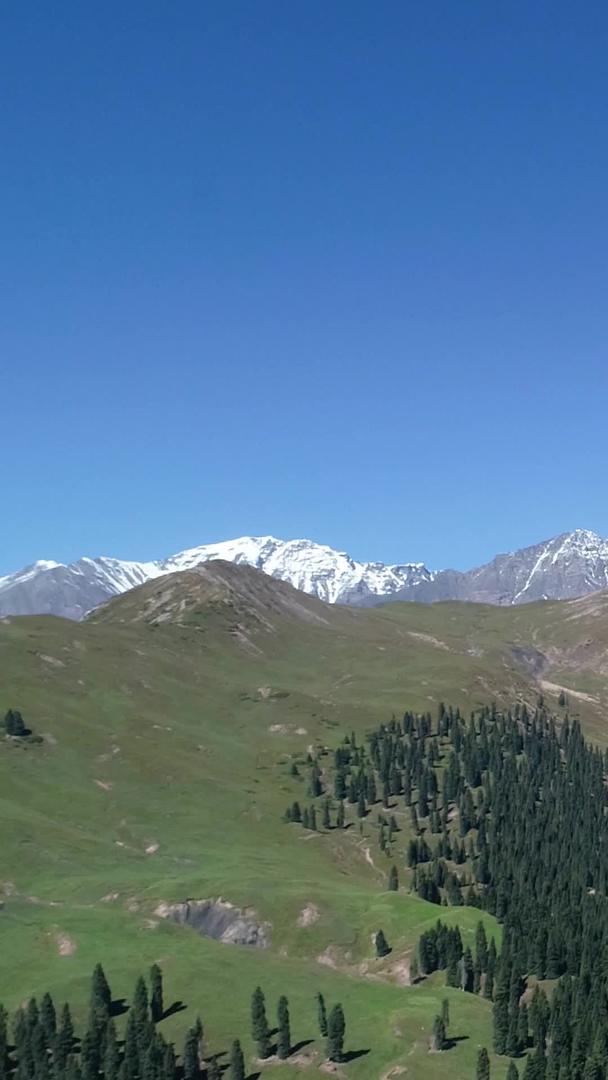 新疆天山脚下的草原航拍视频的预览图