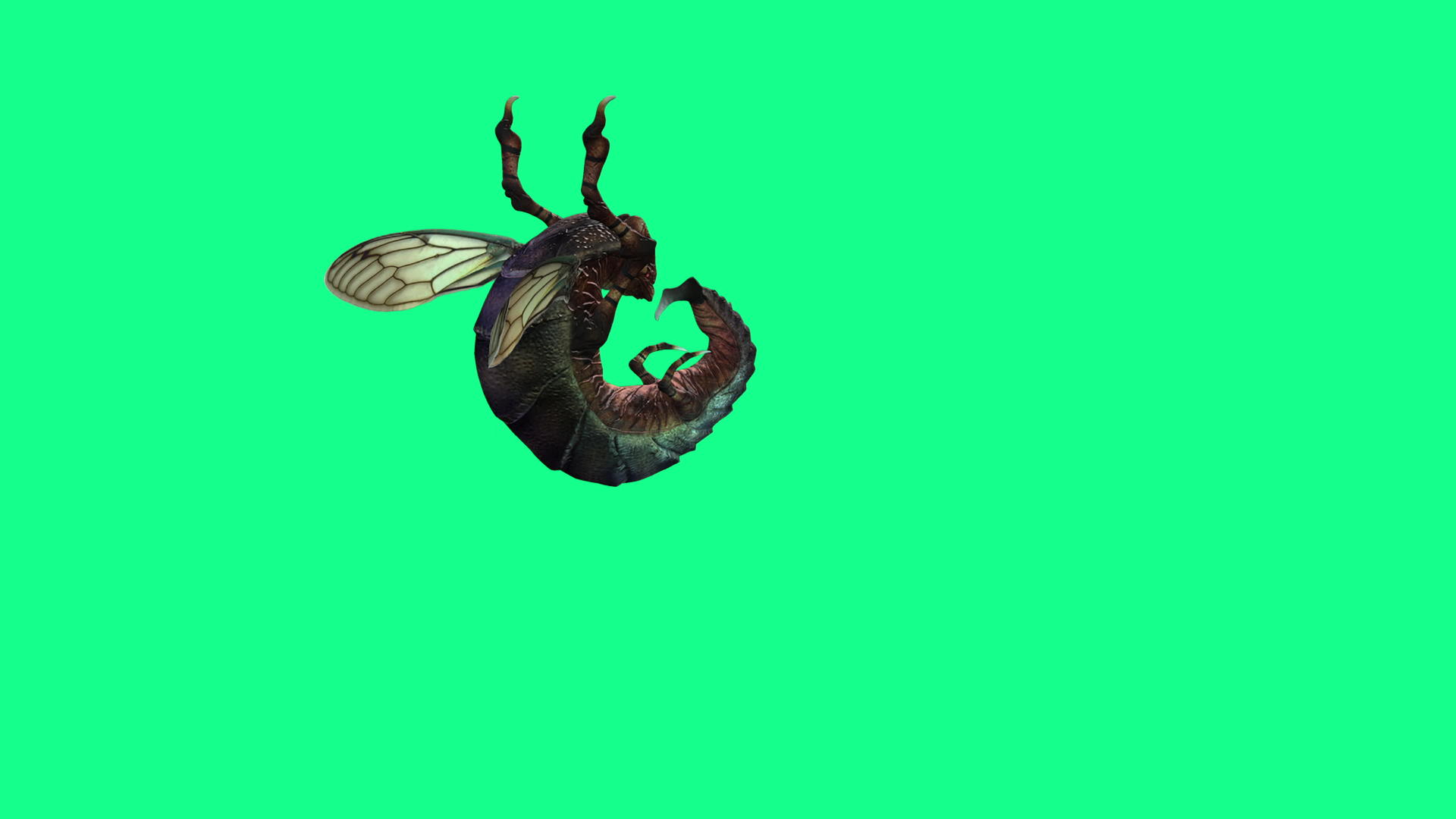 4k蜜蜂、黄蜂、苍蝇和绿屏攻击3D动画视频的预览图