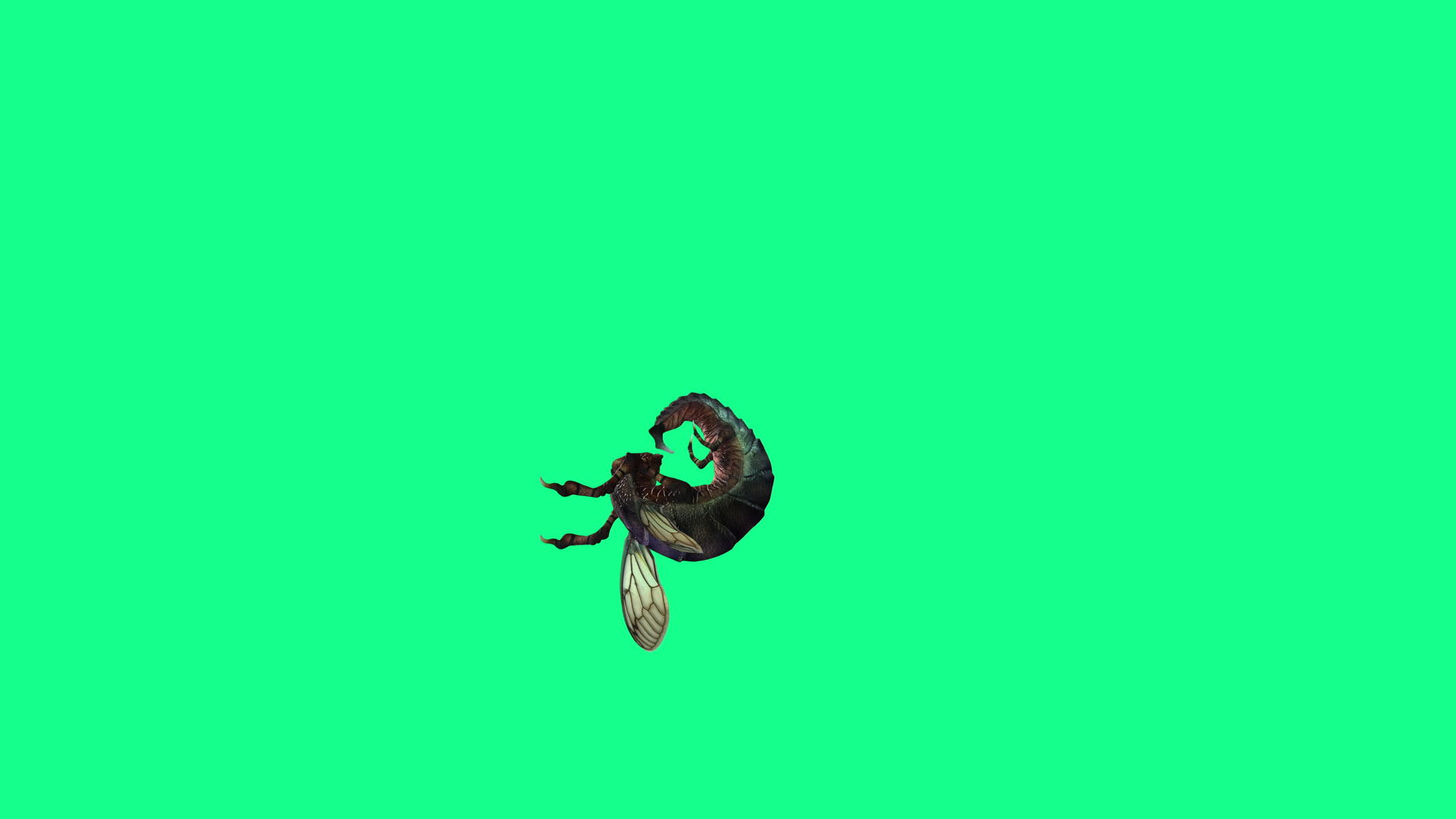 4k垂直视频动画蜂苍蝇和绿屏攻击视频的预览图