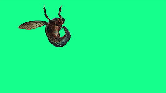 4k蜜蜂、黄蜂、苍蝇和绿屏攻击3D动画视频的预览图