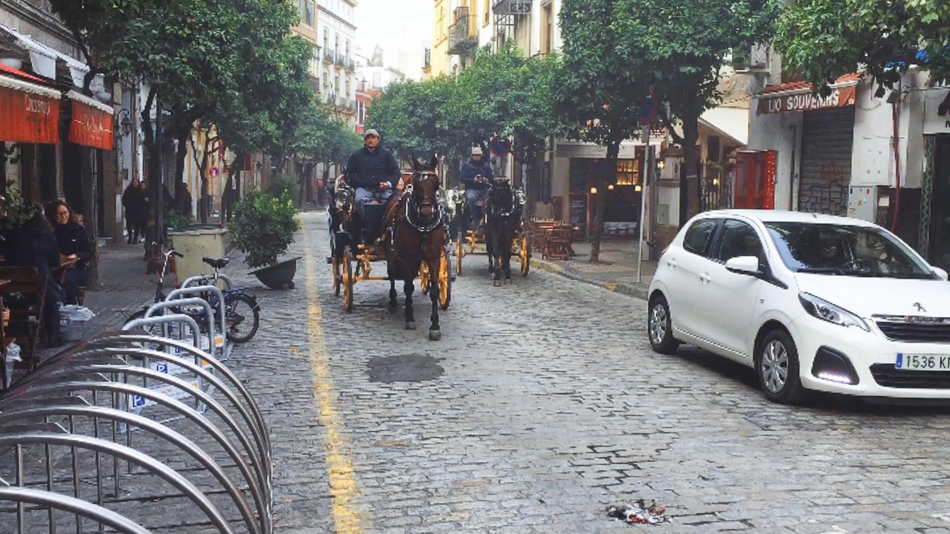 西班牙塞维利亚传统交通马车视频的预览图