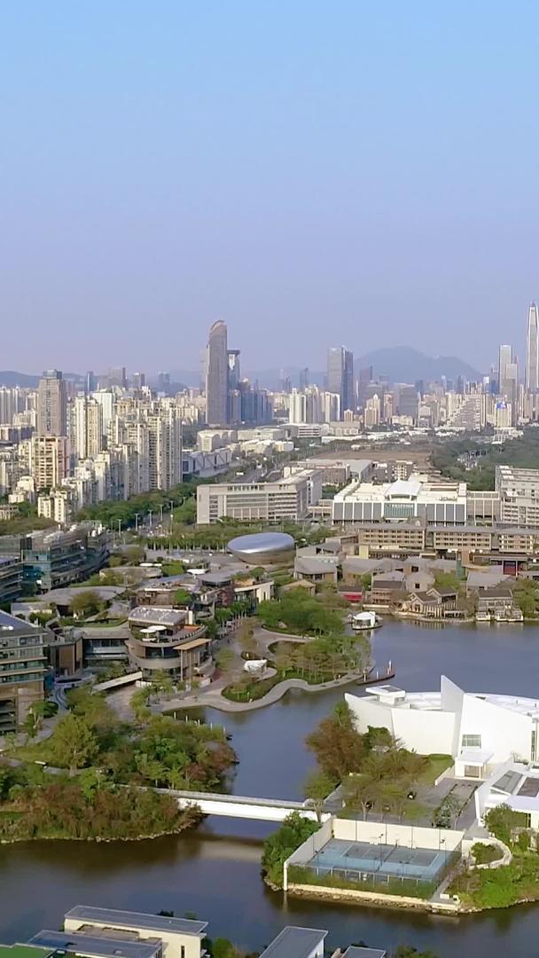深圳华侨城湿地公园航拍视频的预览图