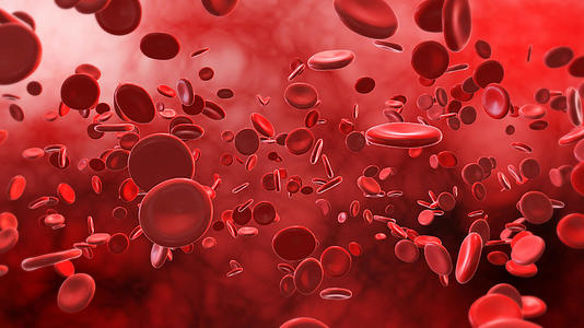 血红细胞流动4K三维血液背景视频的预览图