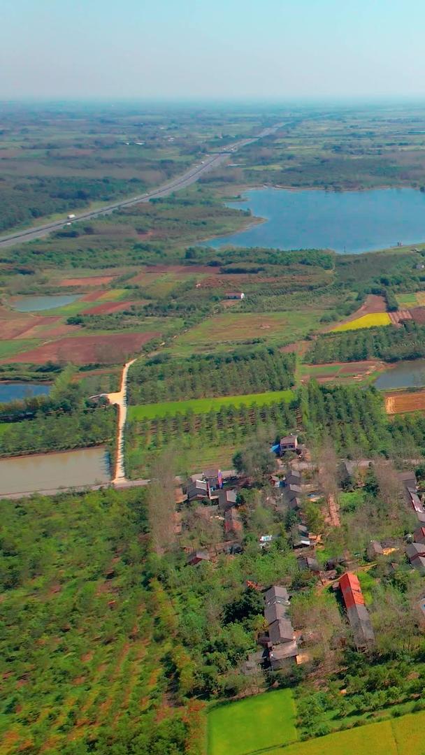 农村农业水稻田航拍视频的预览图