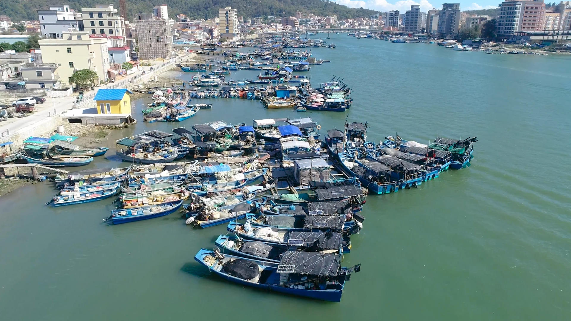 4K渔船避风港视频的预览图