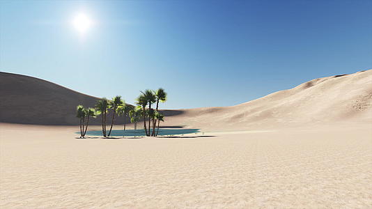 4k沙漠中的绿洲动画视频的预览图