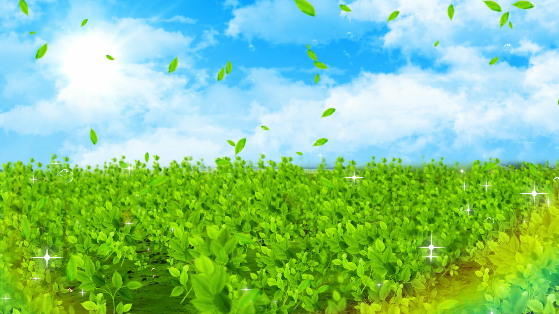 4K春天绿色植物背景素材视频的预览图