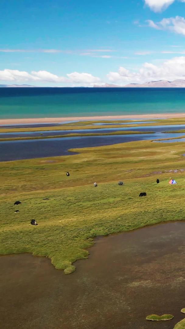 航拍纳木措草原天然牧场视频的预览图
