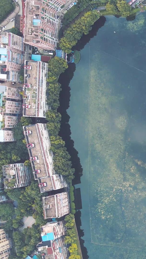 老城区航拍中心环湖公园周边的老生活小区城市素材视频的预览图