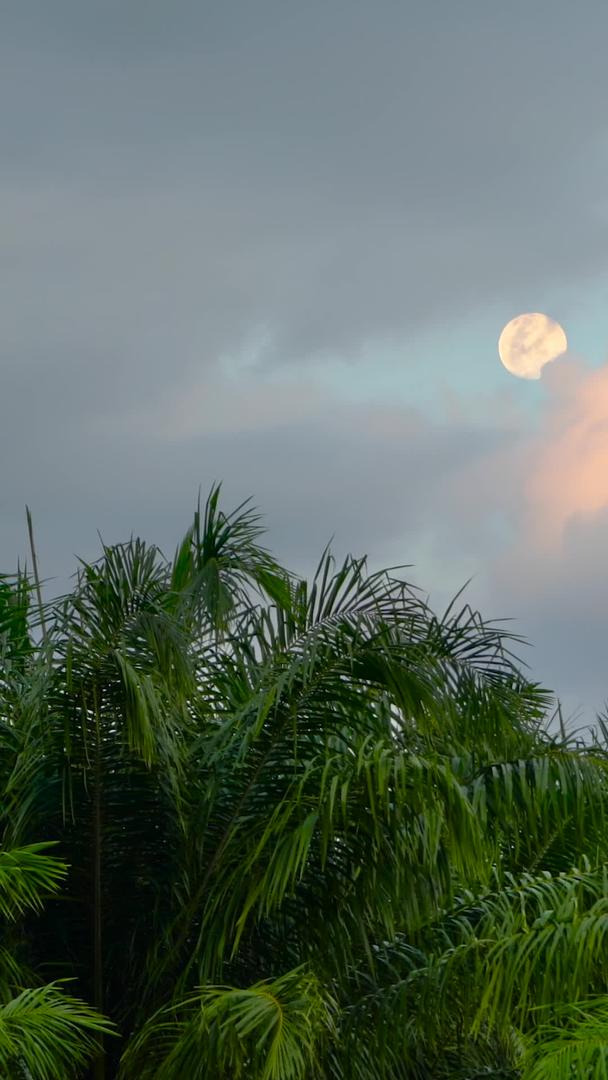 满月缓缓升起延时穿越云层视频的预览图