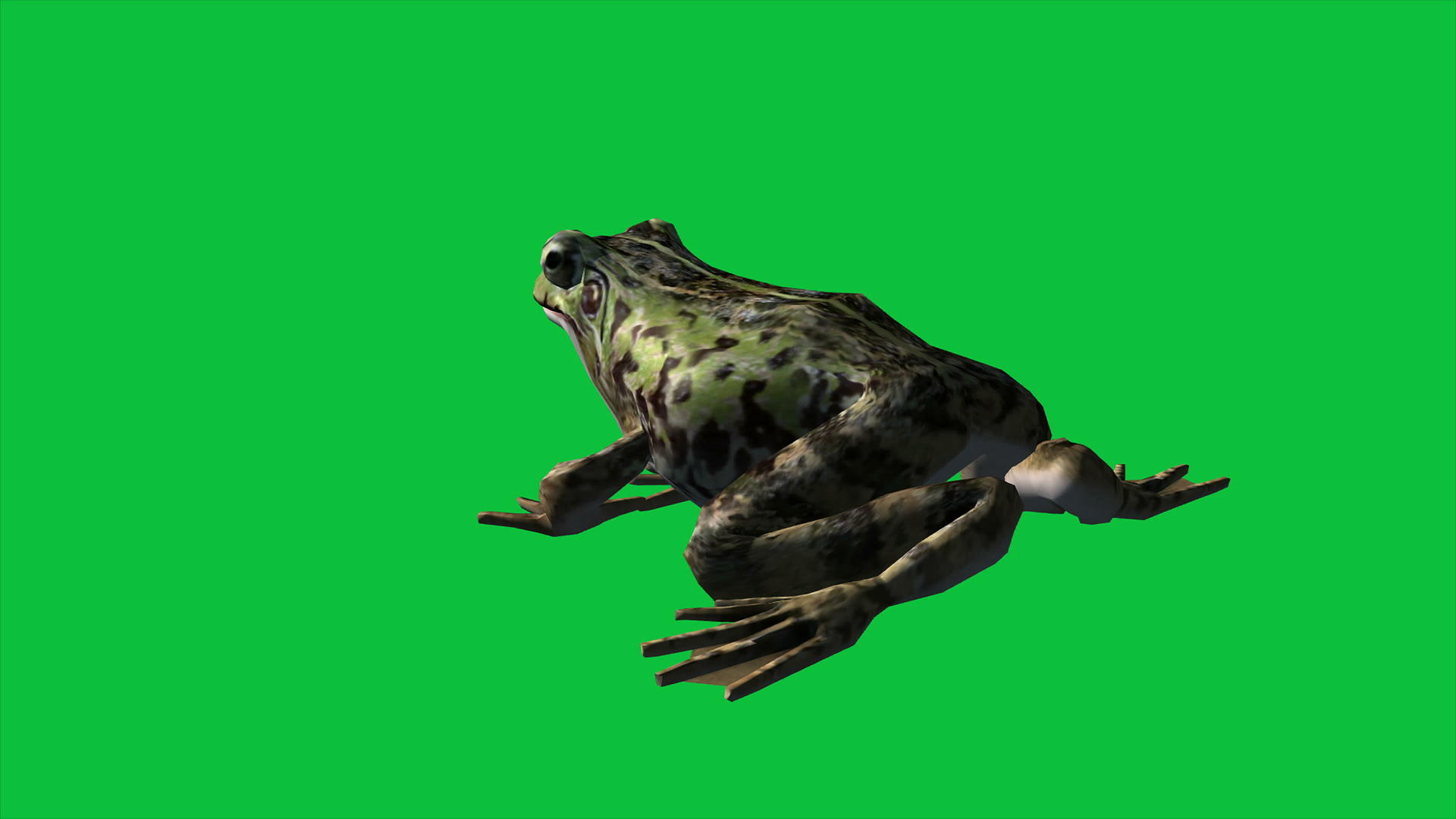 青蛙绿屏视频的预览图