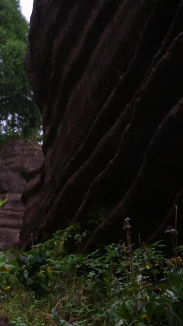湖南湘西4A级旅游景区红石林国家地质公园游客背影素材慢镜头升格拍摄视频的预览图