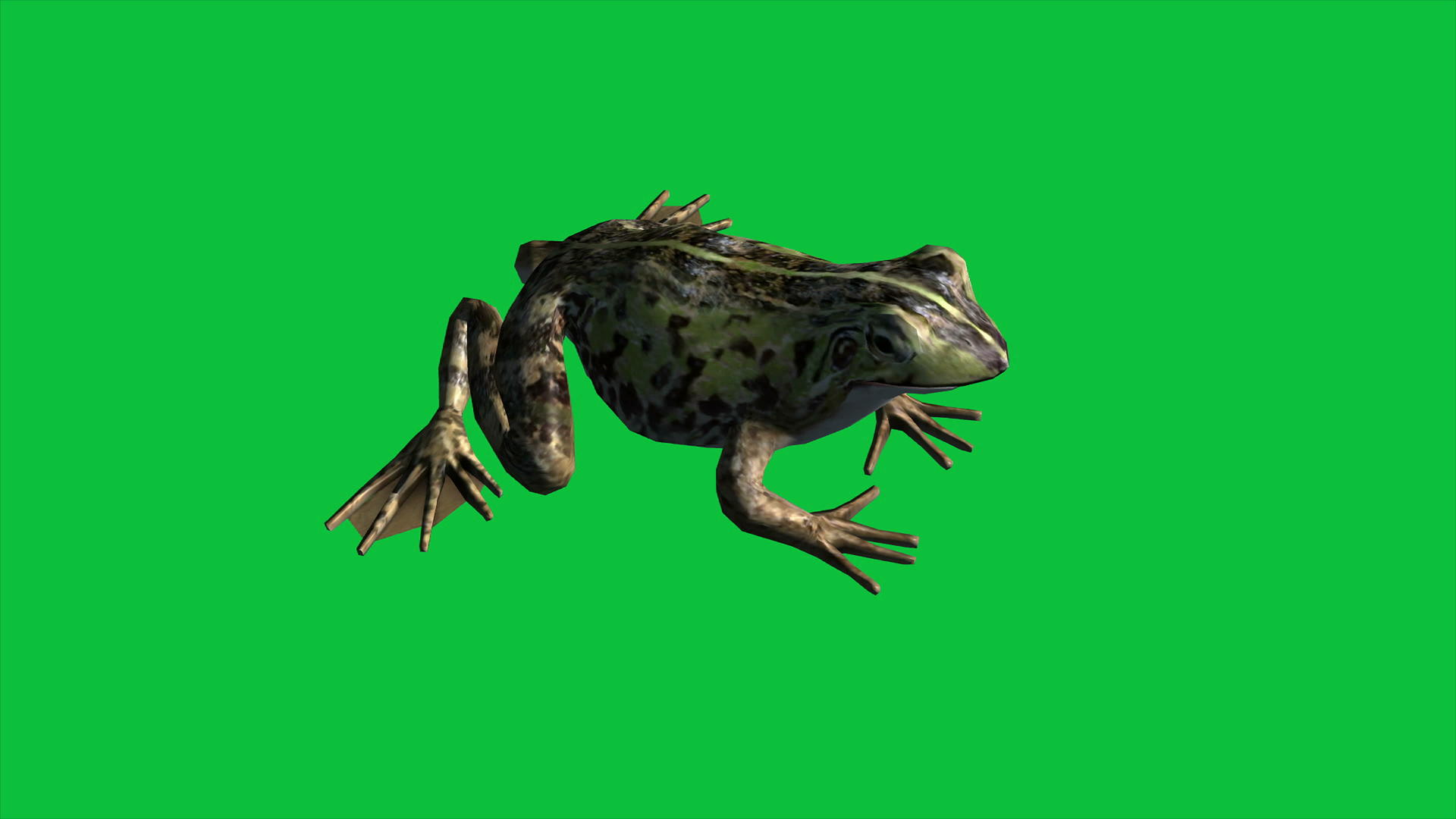 青蛙绿屏视频的预览图