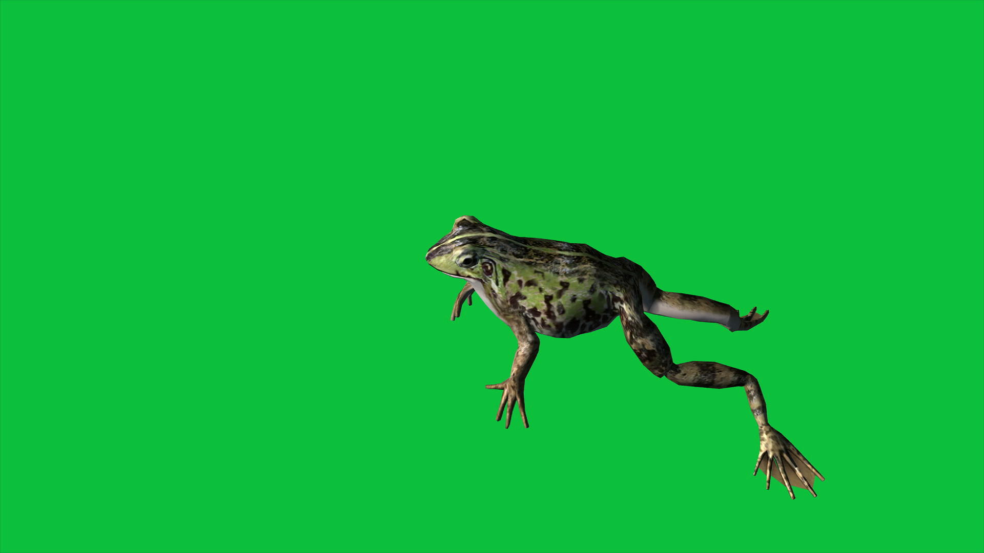 青蛙跳绿幕视频的预览图