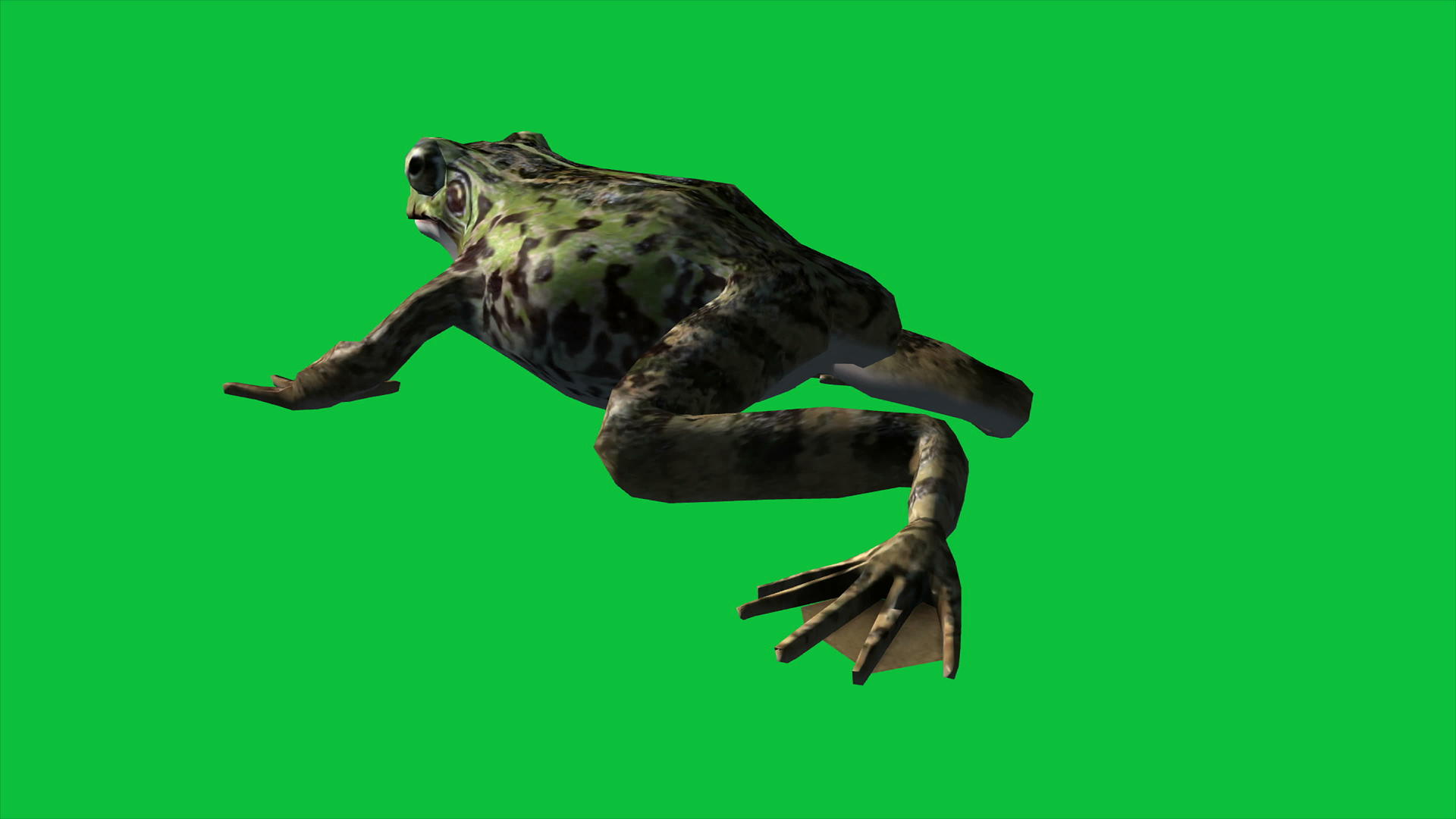 青蛙视频的预览图